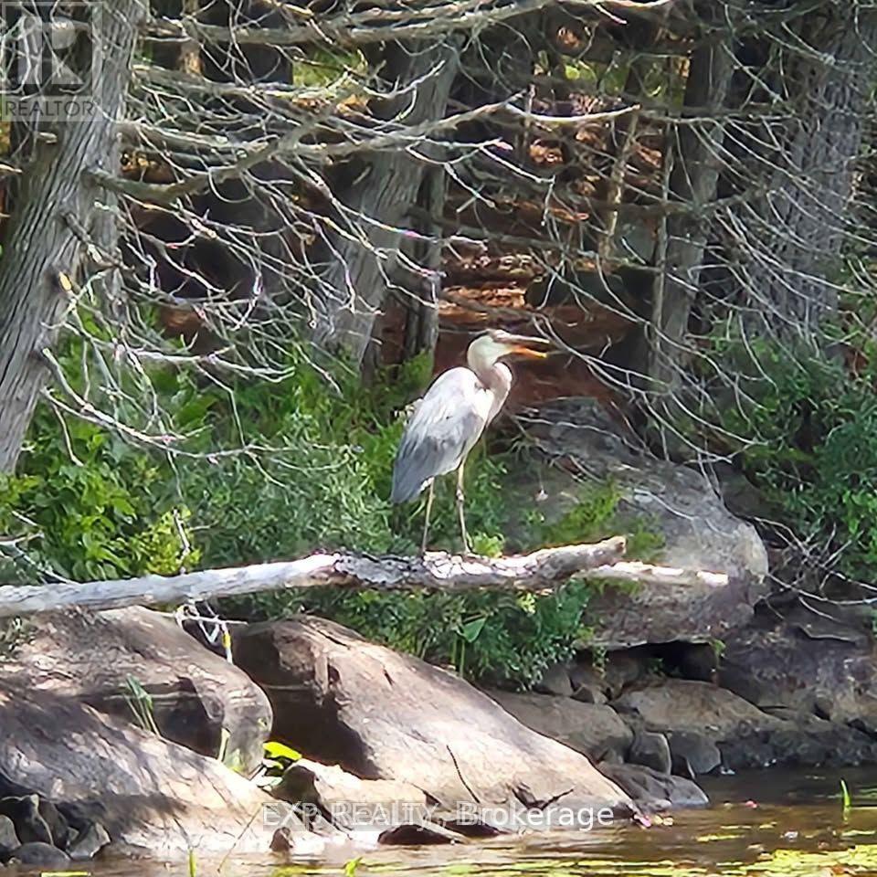 Photo 16 of 9 North Poverty Bay Road, Magnetawan ON