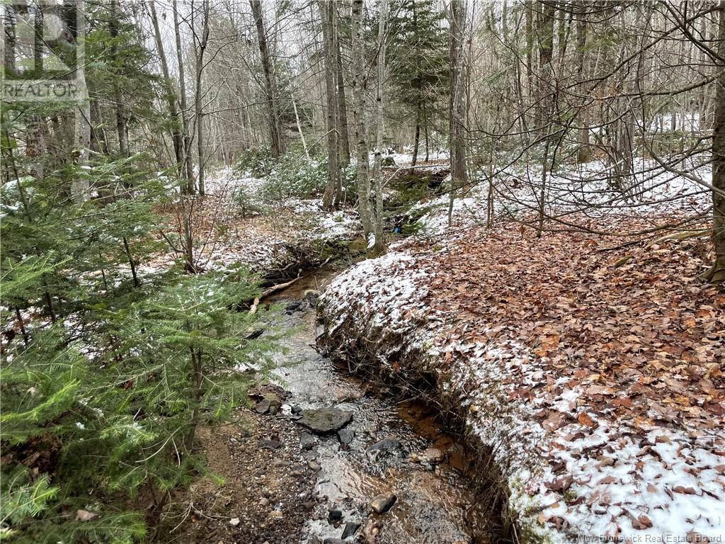 Photo 15 of Lot Pleasant Drive, Minto NB