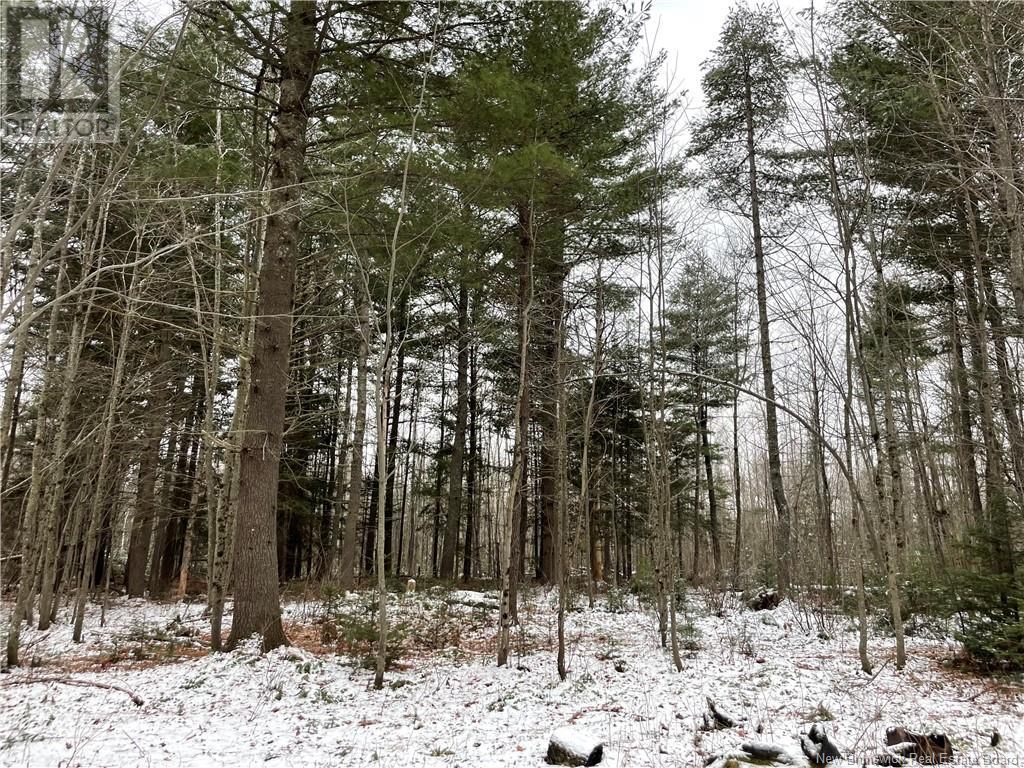 Photo 16 of Lot Pleasant Drive, Minto NB
