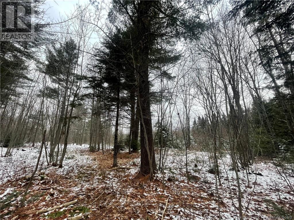 Photo 19 of Lot Pleasant Drive, Minto NB