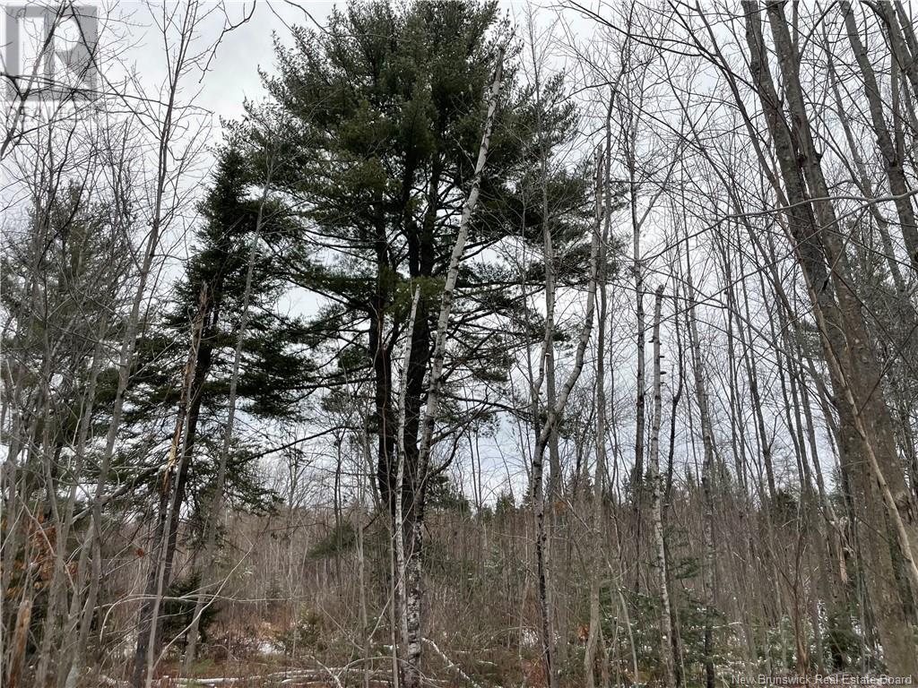 Photo 20 of Lot Pleasant Drive, Minto NB