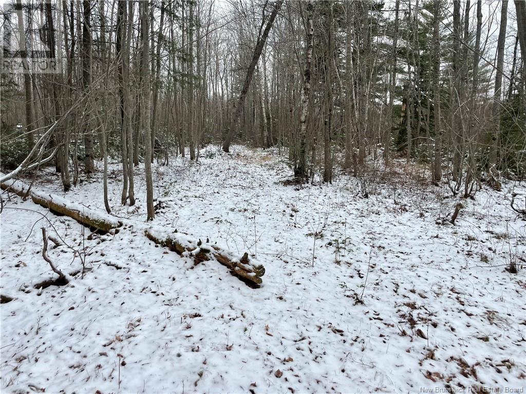 Photo 14 of Lot Pleasant Drive, Minto NB