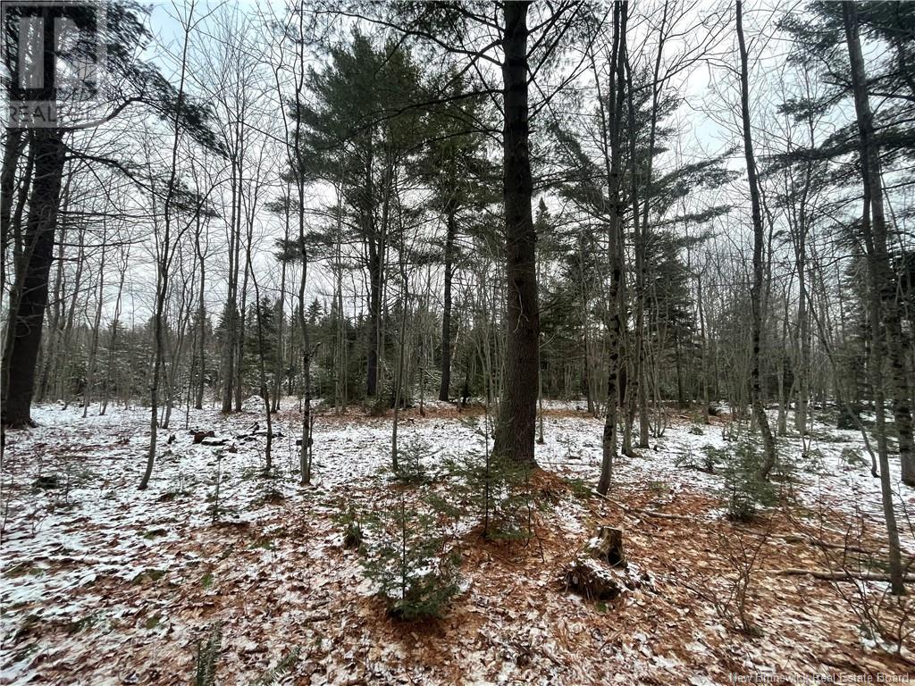 Photo 18 of Lot Pleasant Drive, Minto NB