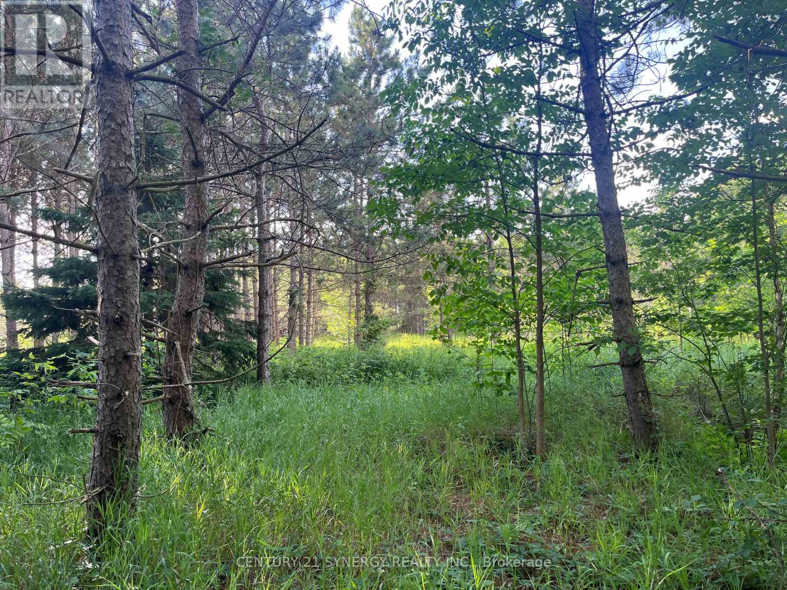 Photo 21 of 00 Russett Drive, Mcnab Braeside ON