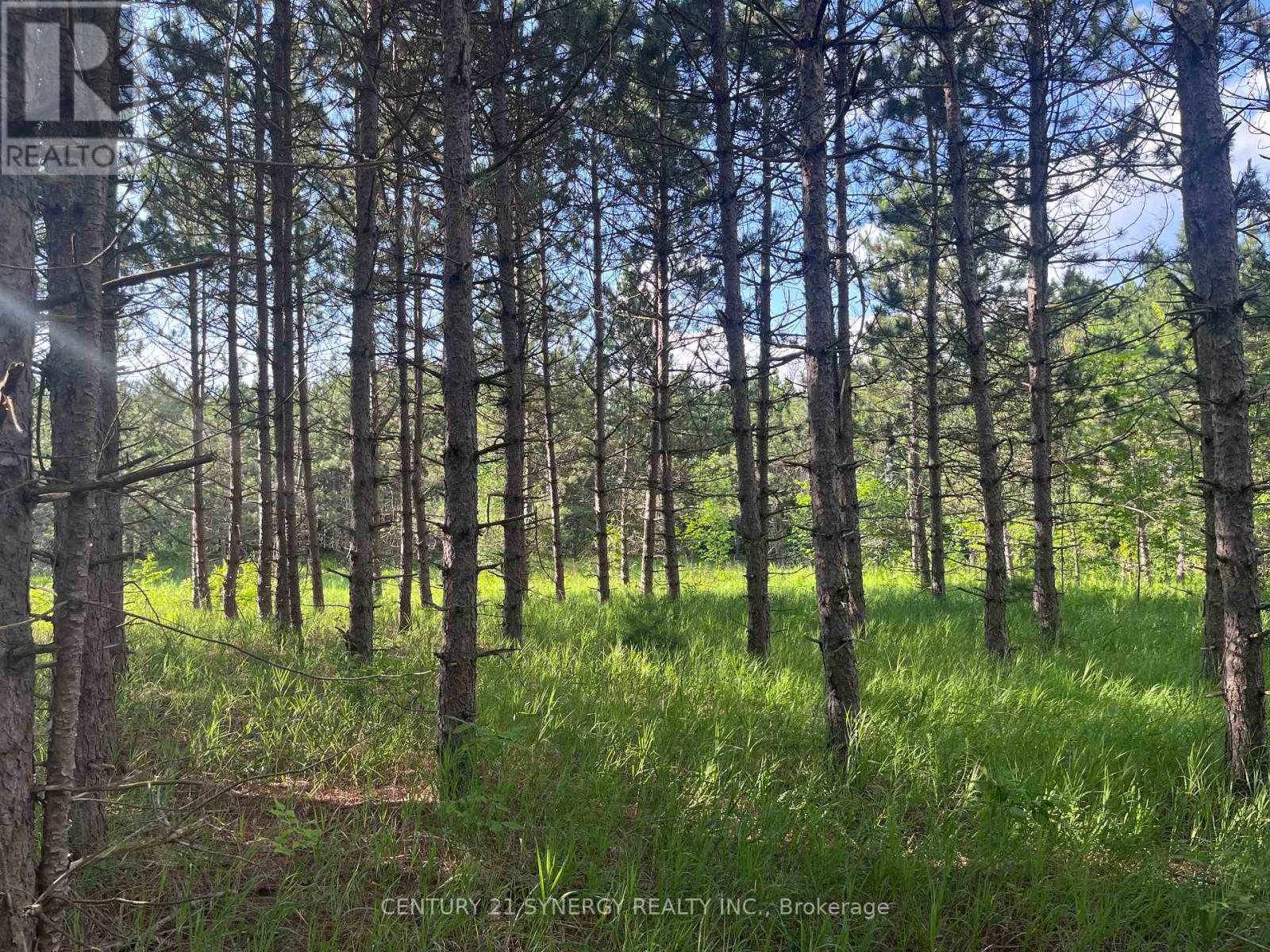Photo 3 of 00 Russett Drive, Mcnab Braeside ON