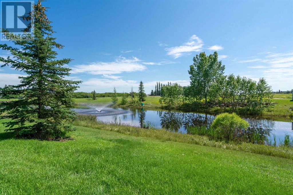 Photo 21 of 41 Copeland Avenue, Langdon AB