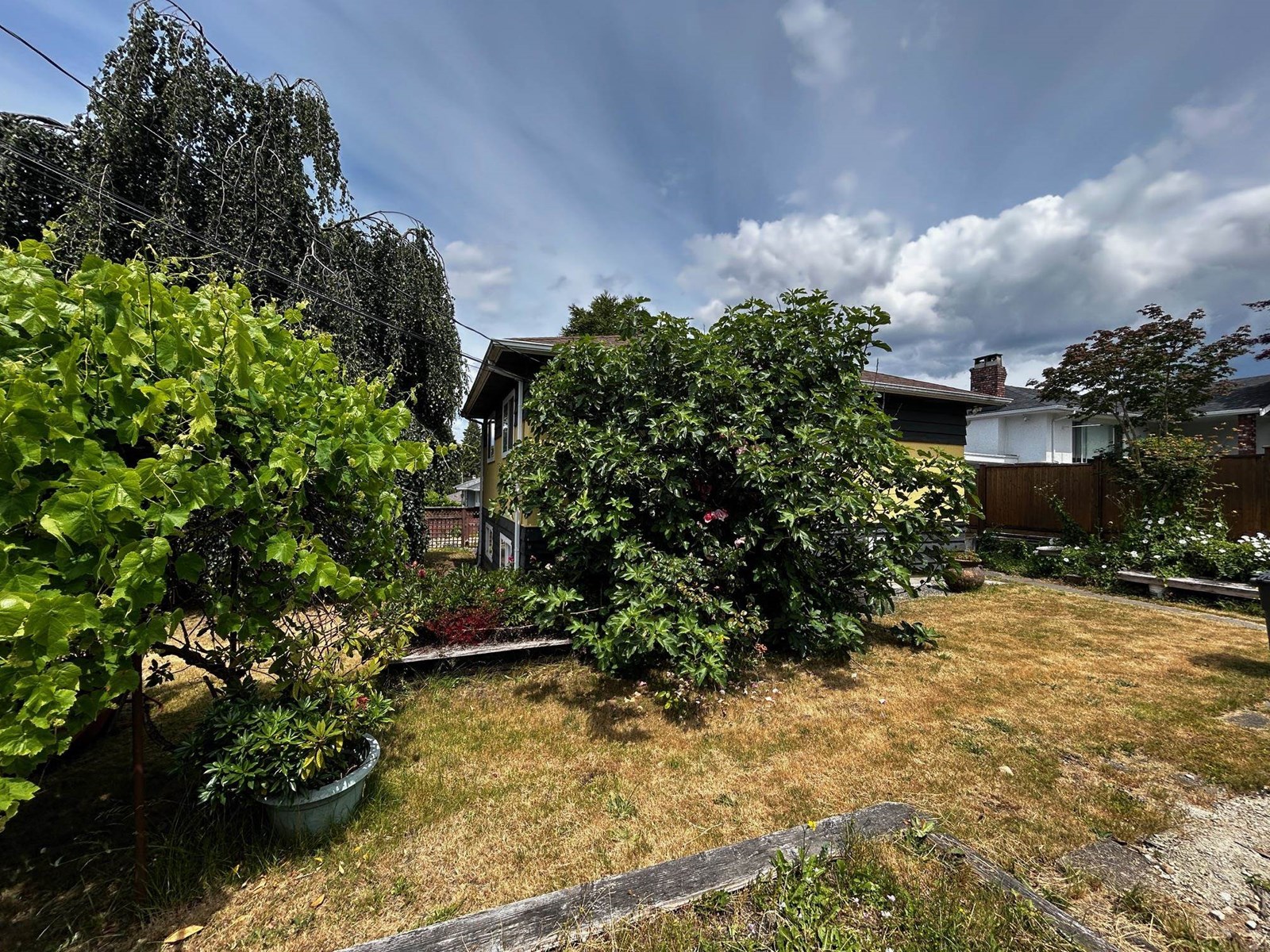 Photo 11 of 9678 Princess Drive, Surrey BC