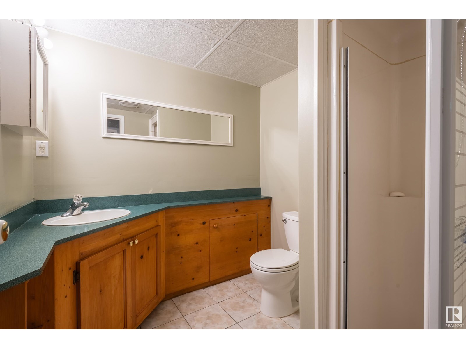 Photo 10 of 8803 160 St Nw, Edmonton AB