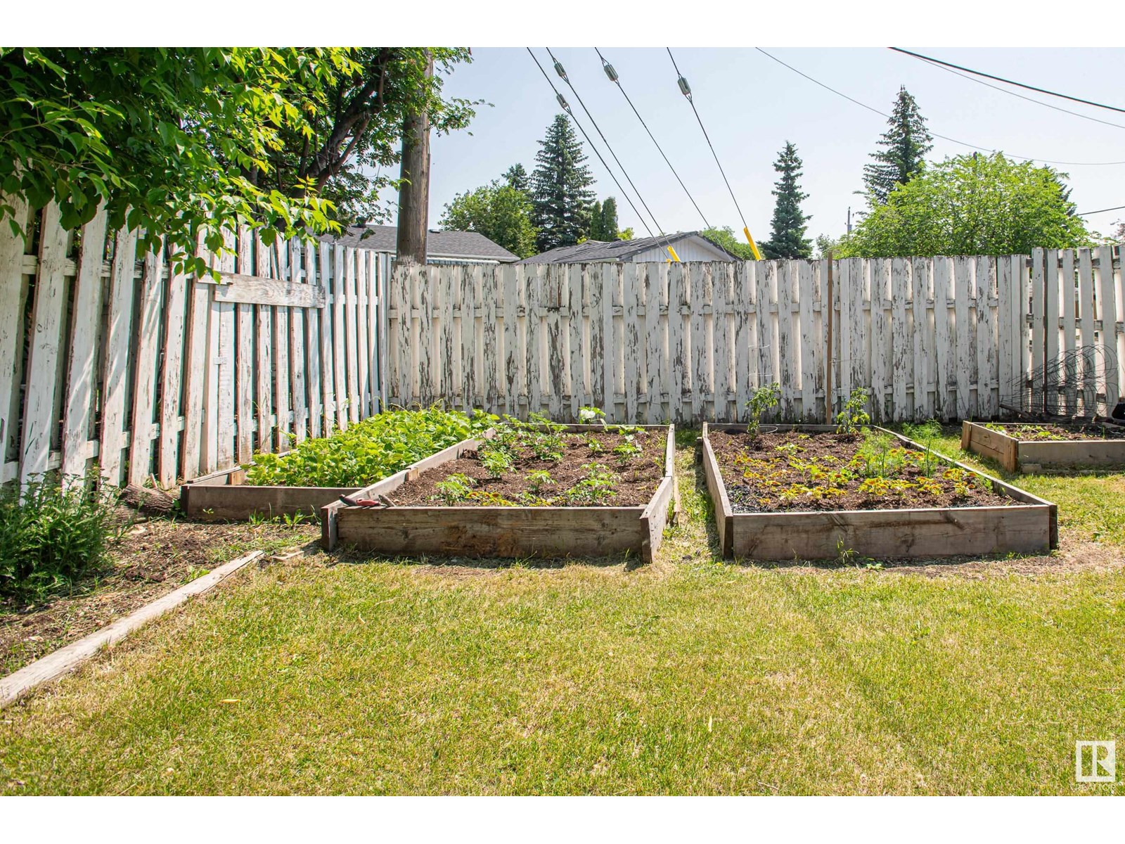 Photo 7 of 8803 160 St Nw, Edmonton AB