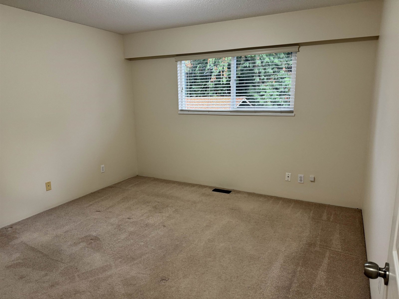Photo 8 of 10834 84 Avenue, Delta BC