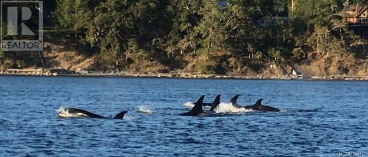Photo 46 of 557 Weathers Way, Mudge Island BC