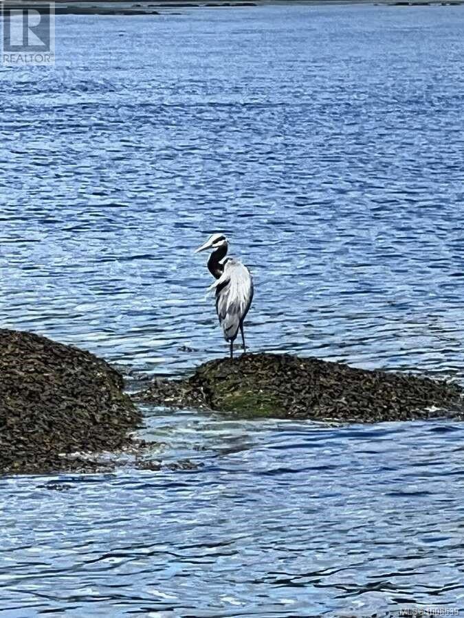 Photo 52 of 557 Weathers Way, Mudge Island BC
