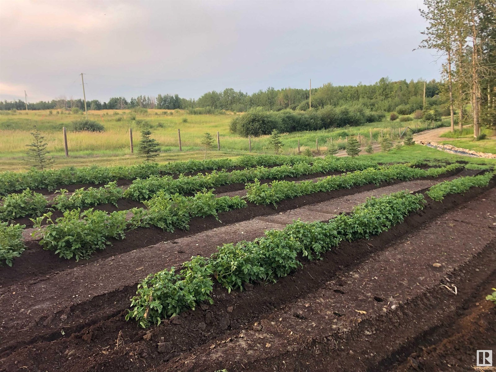 Photo 14 of 53226 Rge Road 24, Rural Parkland County AB