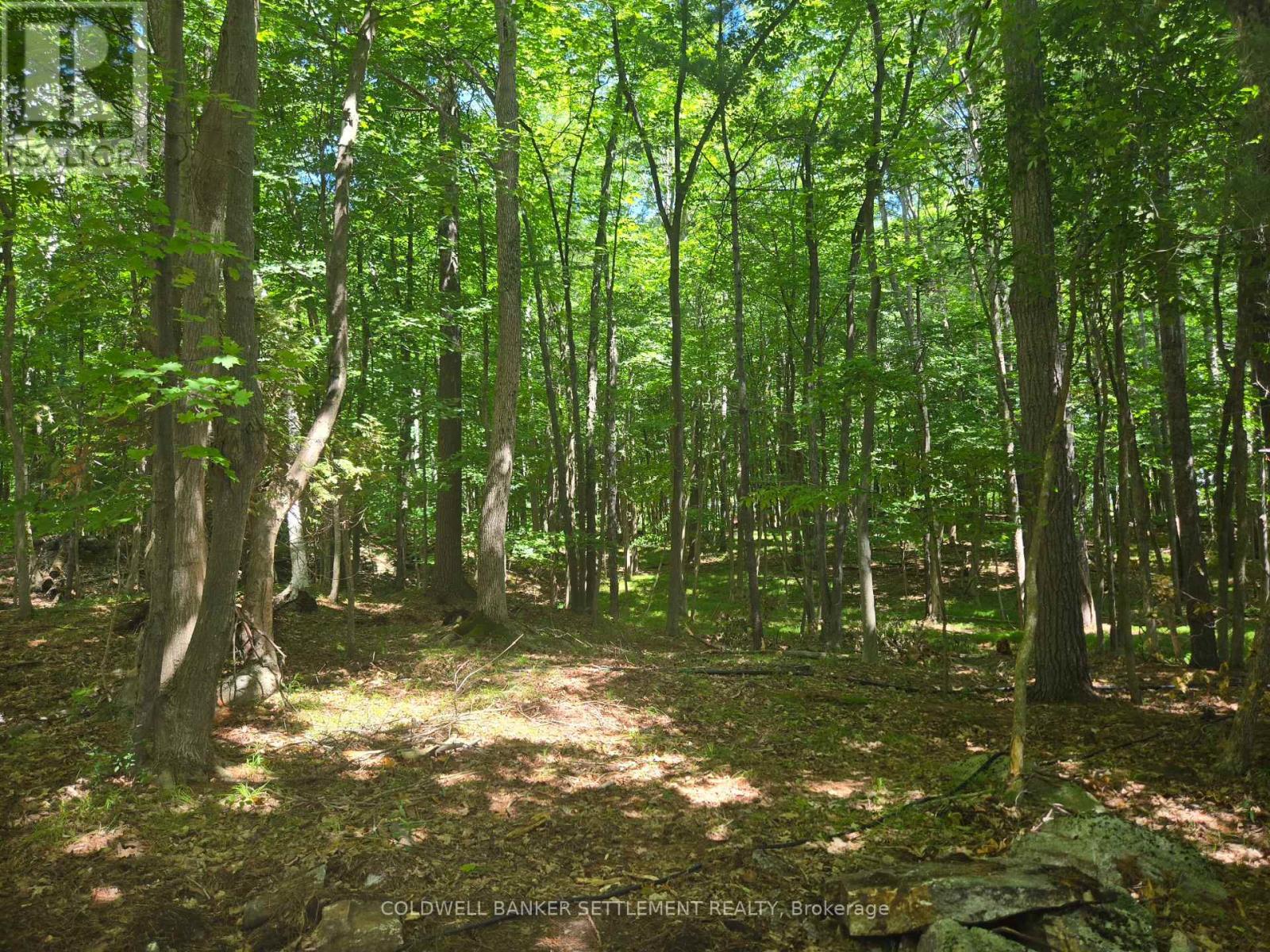 Photo 27 of 0 Walnut Island, Rideau Lakes ON