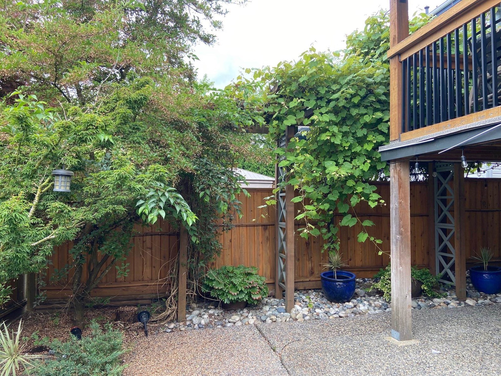 Photo 29 of 21558 84 B Avenue, Langley BC