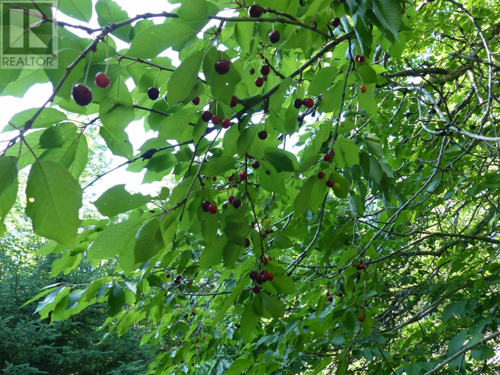 Property 8 of 13 of Lot 1 Highway 1