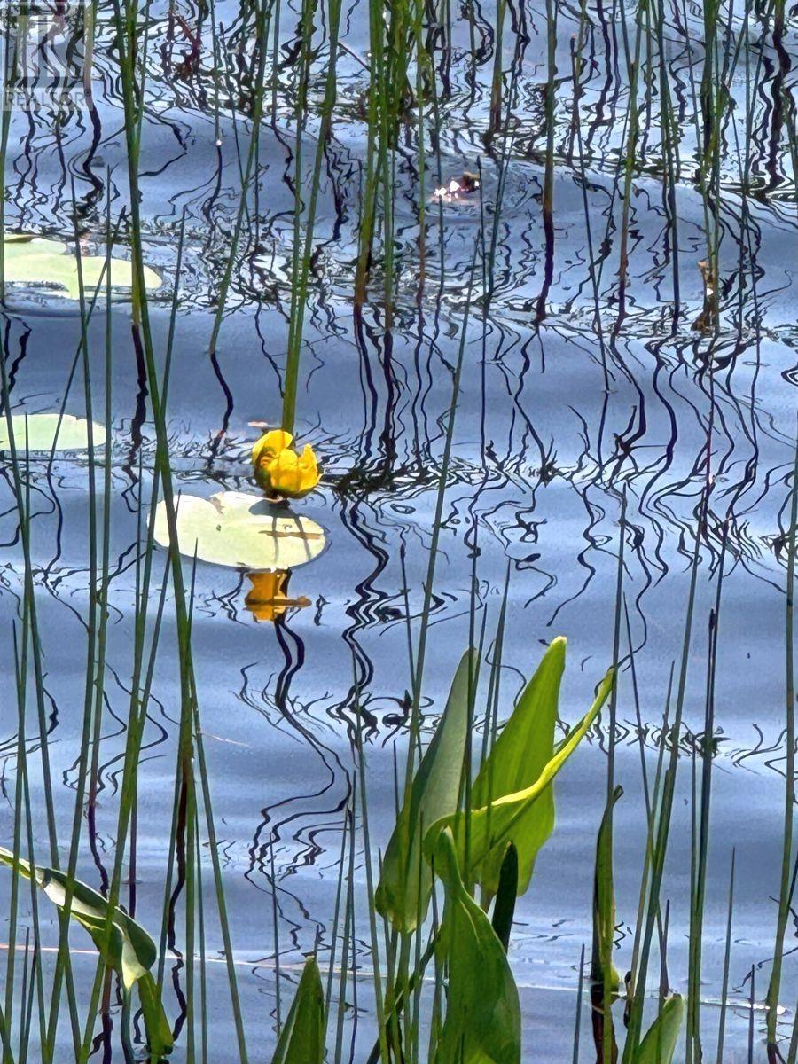 Property 14 of 14 of 3 Grandique Road