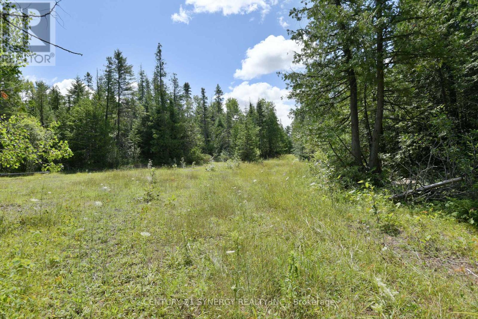 Photo 13 of 00 Golf Club Road, Mcnab Braeside ON