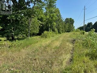 Photo 5 of 12992 7 Highway, Lanark Highlands ON