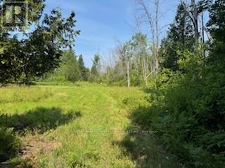 Photo 1 of 12992 7 Highway, Lanark Highlands ON
