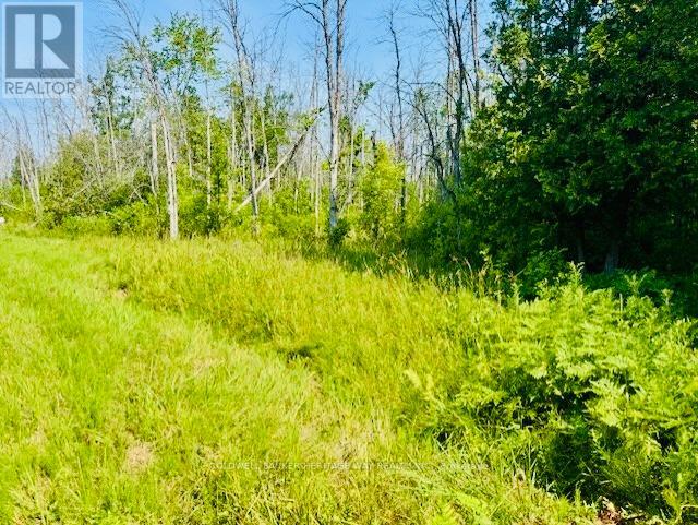 Photo 10 of 12990 7 Highway, Lanark Highlands ON
