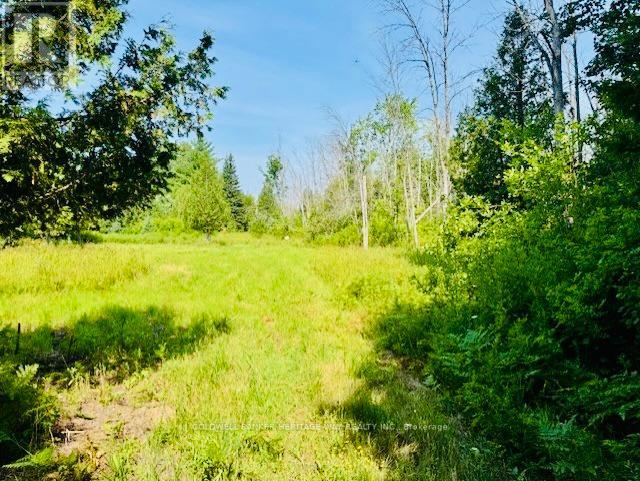 Photo 1 of 12990 7 Highway, Lanark Highlands ON