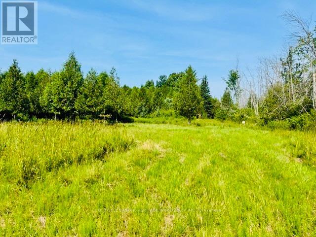Photo 6 of 12990 7 Highway, Lanark Highlands ON