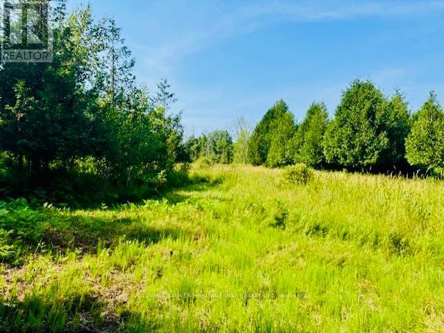 Photo 5 of 12990 7 Highway, Lanark Highlands ON