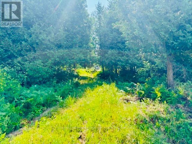 Photo 3 of 12990 7 Highway, Lanark Highlands ON