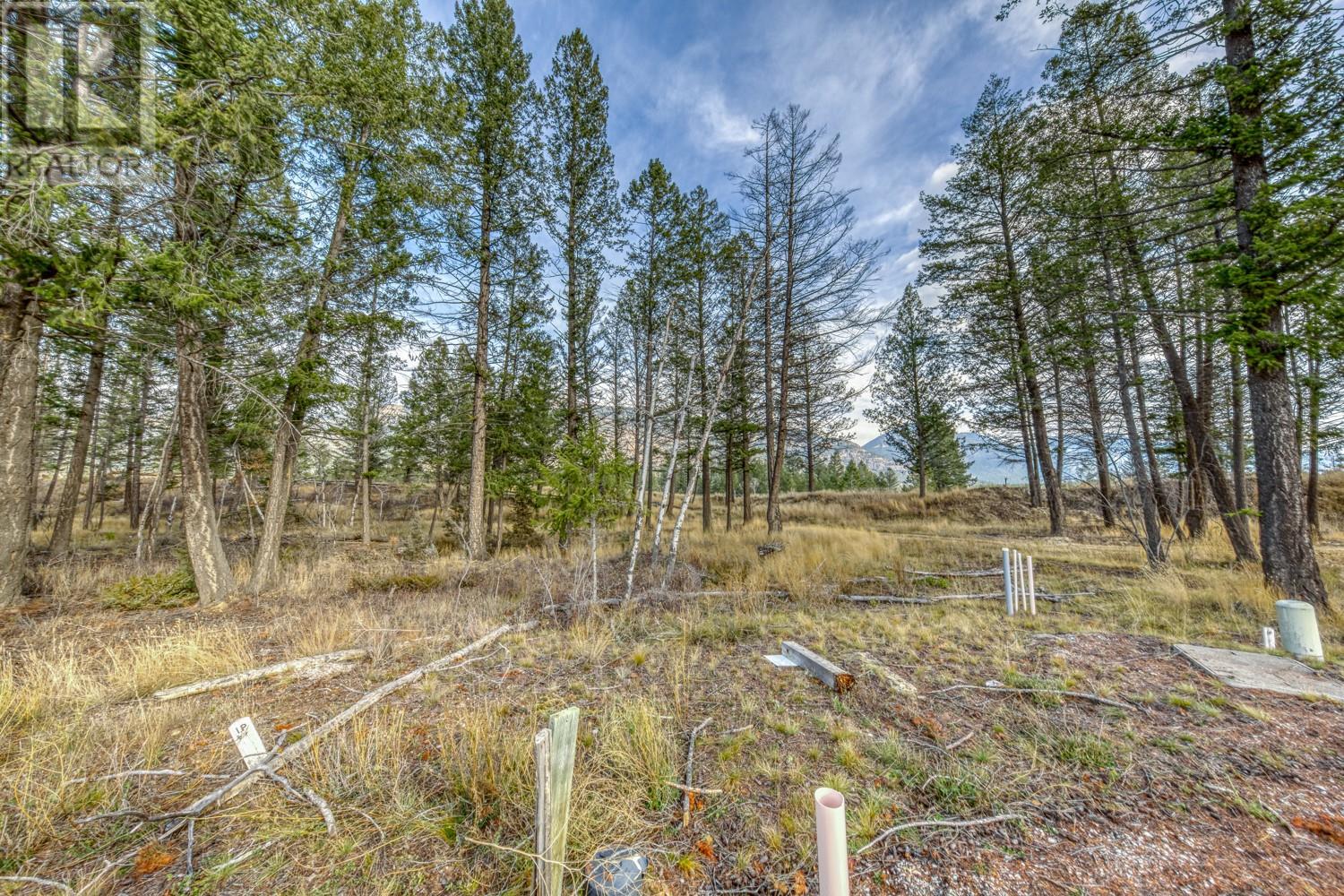 Photo 5 of Pedley Heights Drive Lot 51, Windermere BC