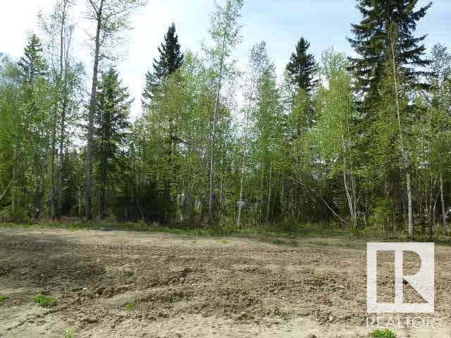 Photo 3 of 11 Fraser Dr, Breton AB