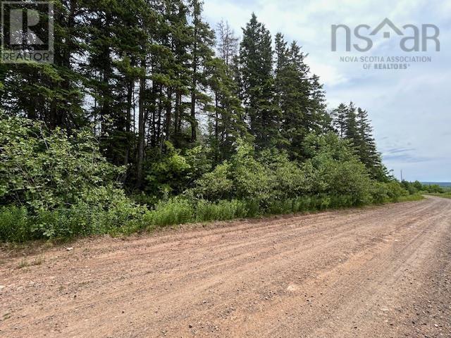 Property 7 of 12 of Parcel B MacLeod Settlement Road