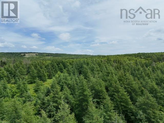 Property 4 of 12 of Parcel B MacLeod Settlement Road