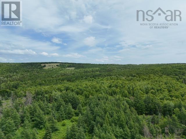 Property 6 of 12 of Parcel B MacLeod Settlement Road