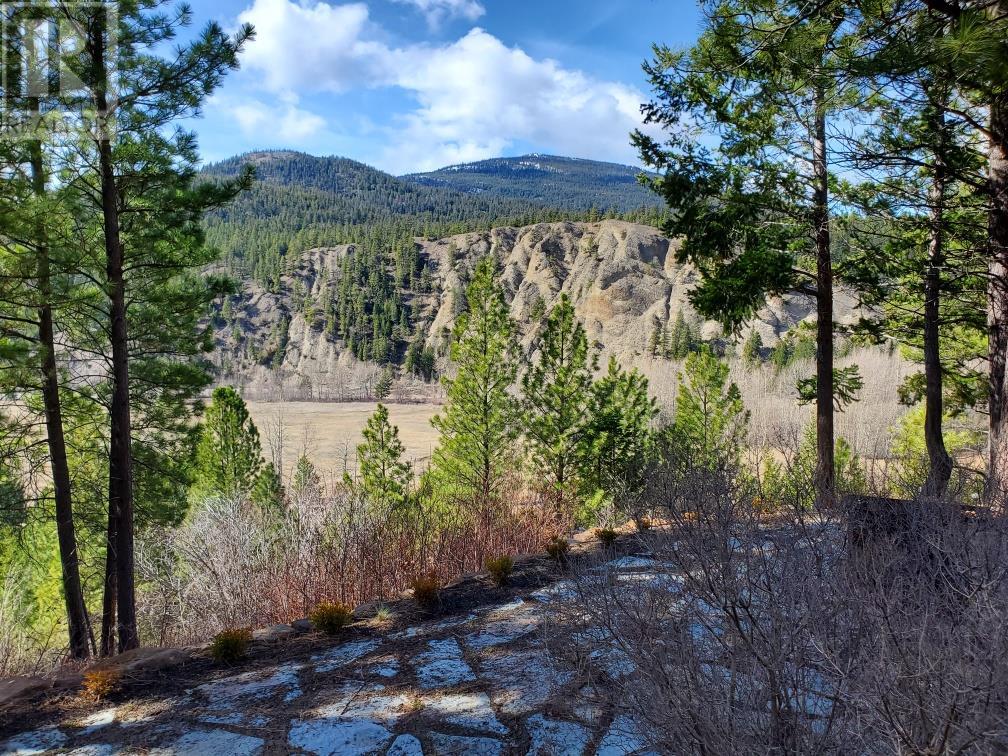 2581S COLDWATER Road, Merritt