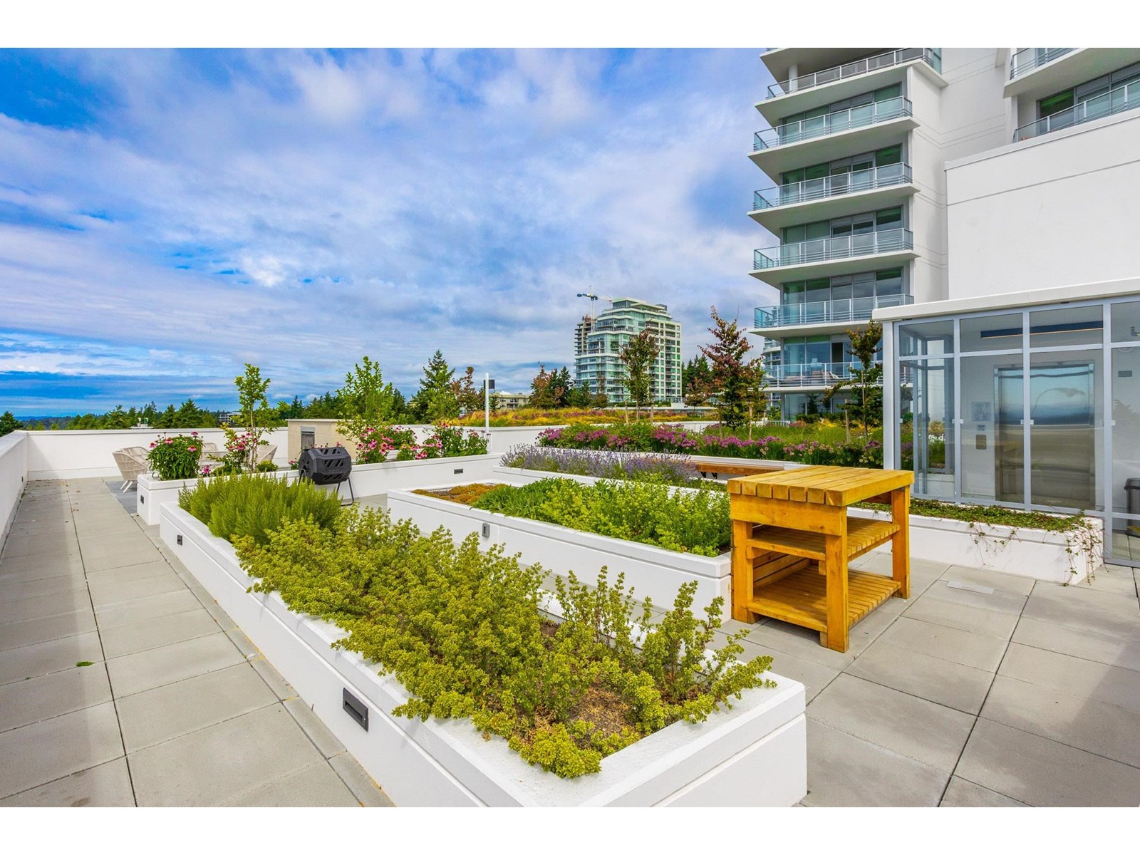 314 1342 JOHNSTON ROAD, White Rock