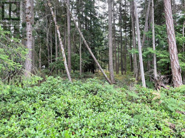 Lot 5 LEAPER ROAD, Texada Island