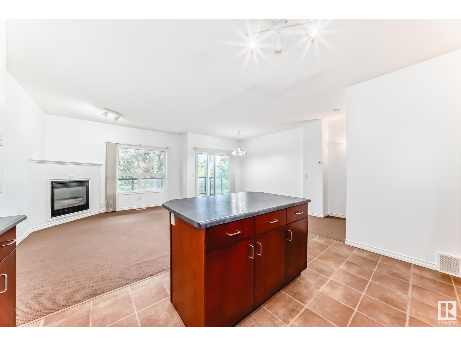 Photo 10 of 102 3010 33 Av Nw Nw, Edmonton AB