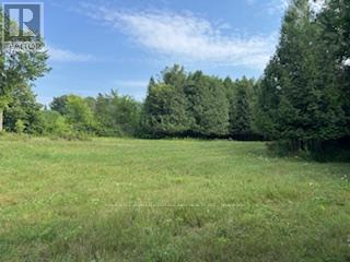 Photo 7 of 12992 7 Highway, Lanark Highlands ON