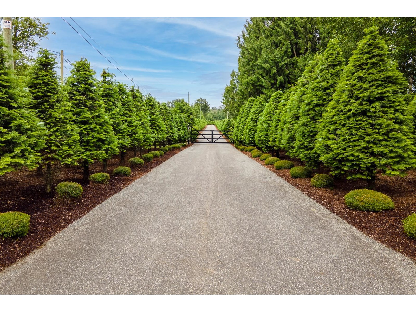 Photo 16 of 2675 256 Street, Langley BC