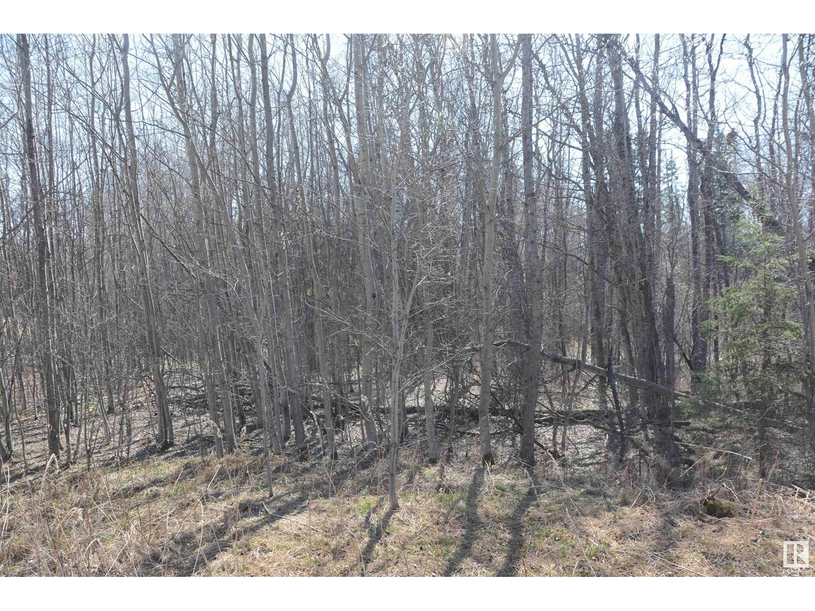 Photo 47 of 4 2306 Twp Road 540, Rural Lac Ste Anne County AB
