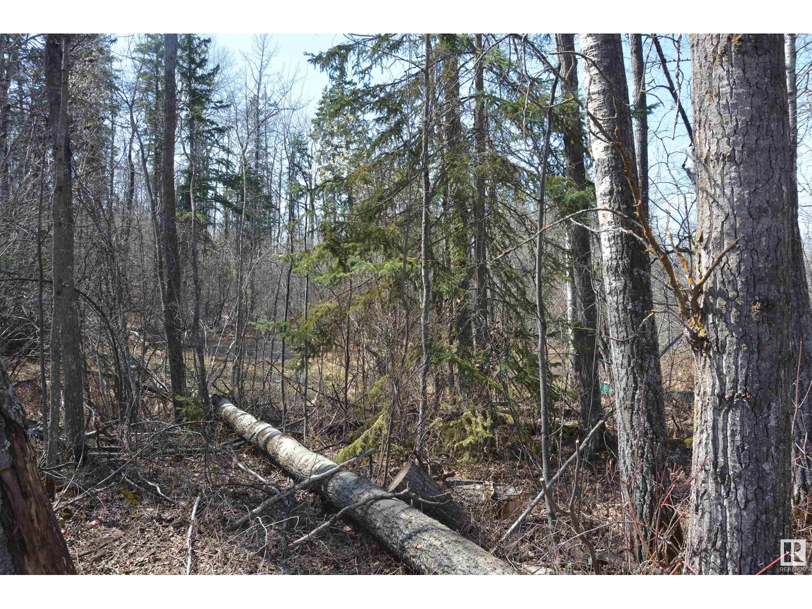 Photo 38 of 4 2306 Twp Road 540, Rural Lac Ste Anne County AB
