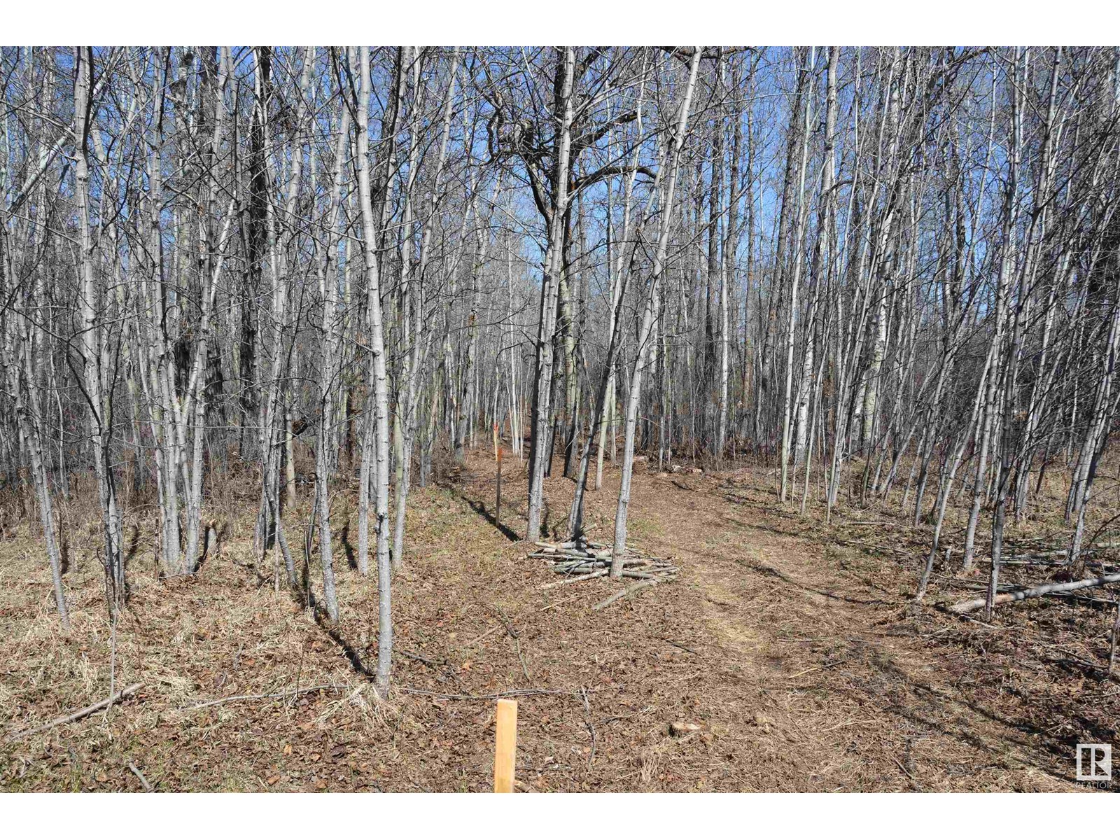 Photo 9 of 4 2306 Twp Road 540, Rural Lac Ste Anne County AB