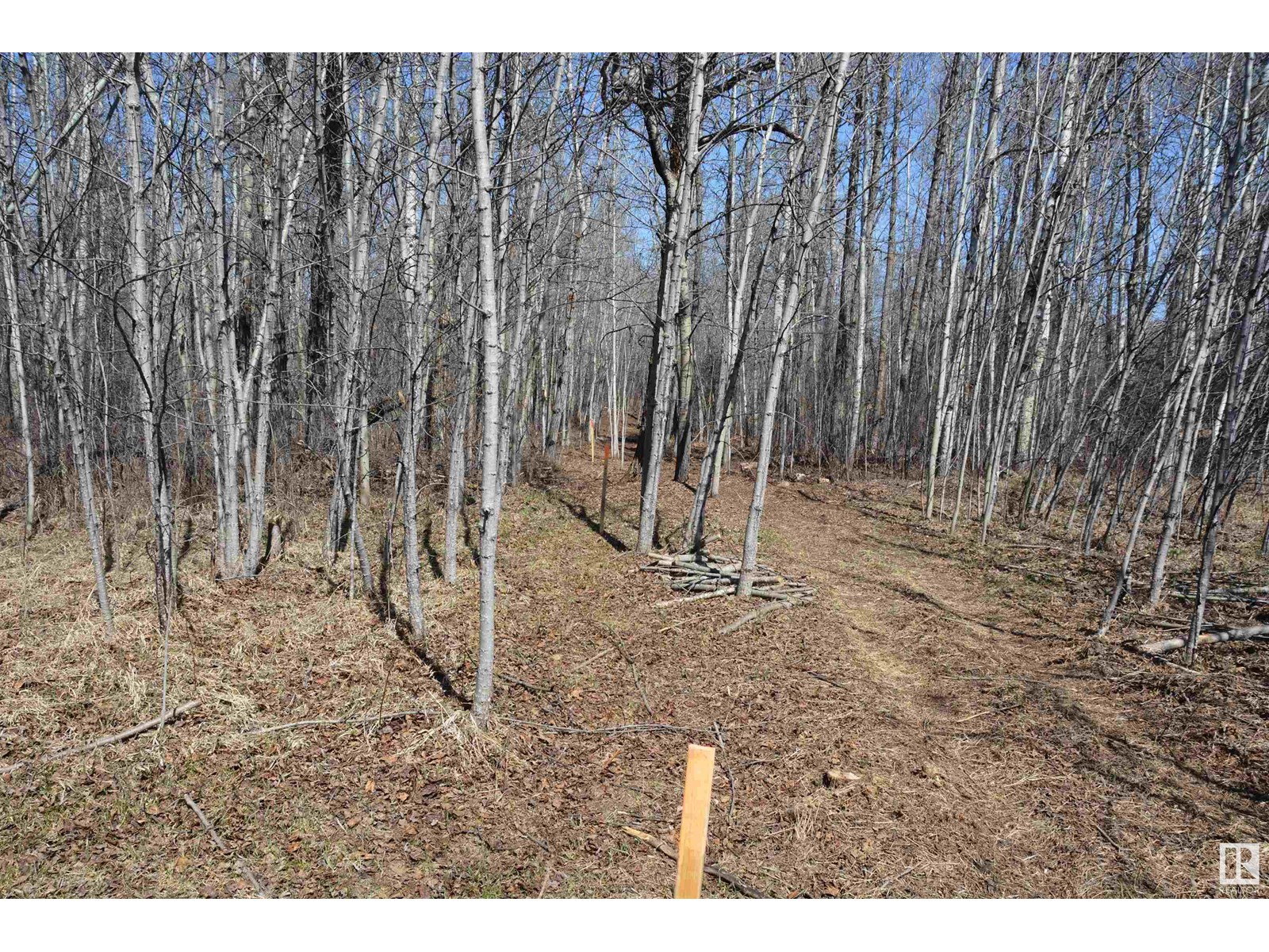 Photo 20 of 4 2306 Twp Road 540, Rural Lac Ste Anne County AB