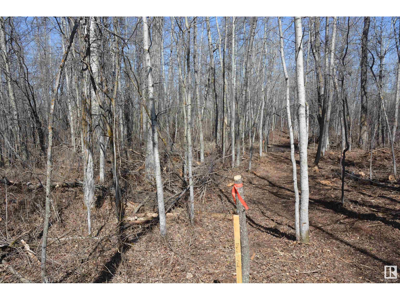 Photo 34 of 4 2306 Twp Road 540, Rural Lac Ste Anne County AB