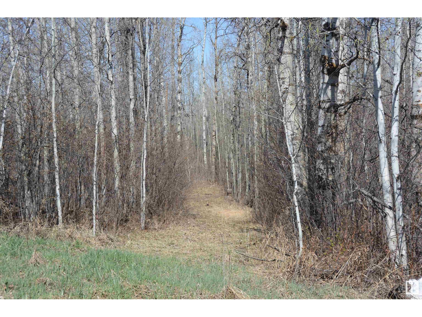 Photo 31 of 4 2306 Twp Road 540, Rural Lac Ste Anne County AB
