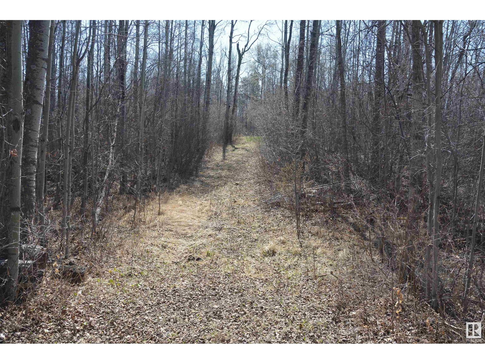 Photo 13 of 4 2306 Twp Road 540, Rural Lac Ste Anne County AB