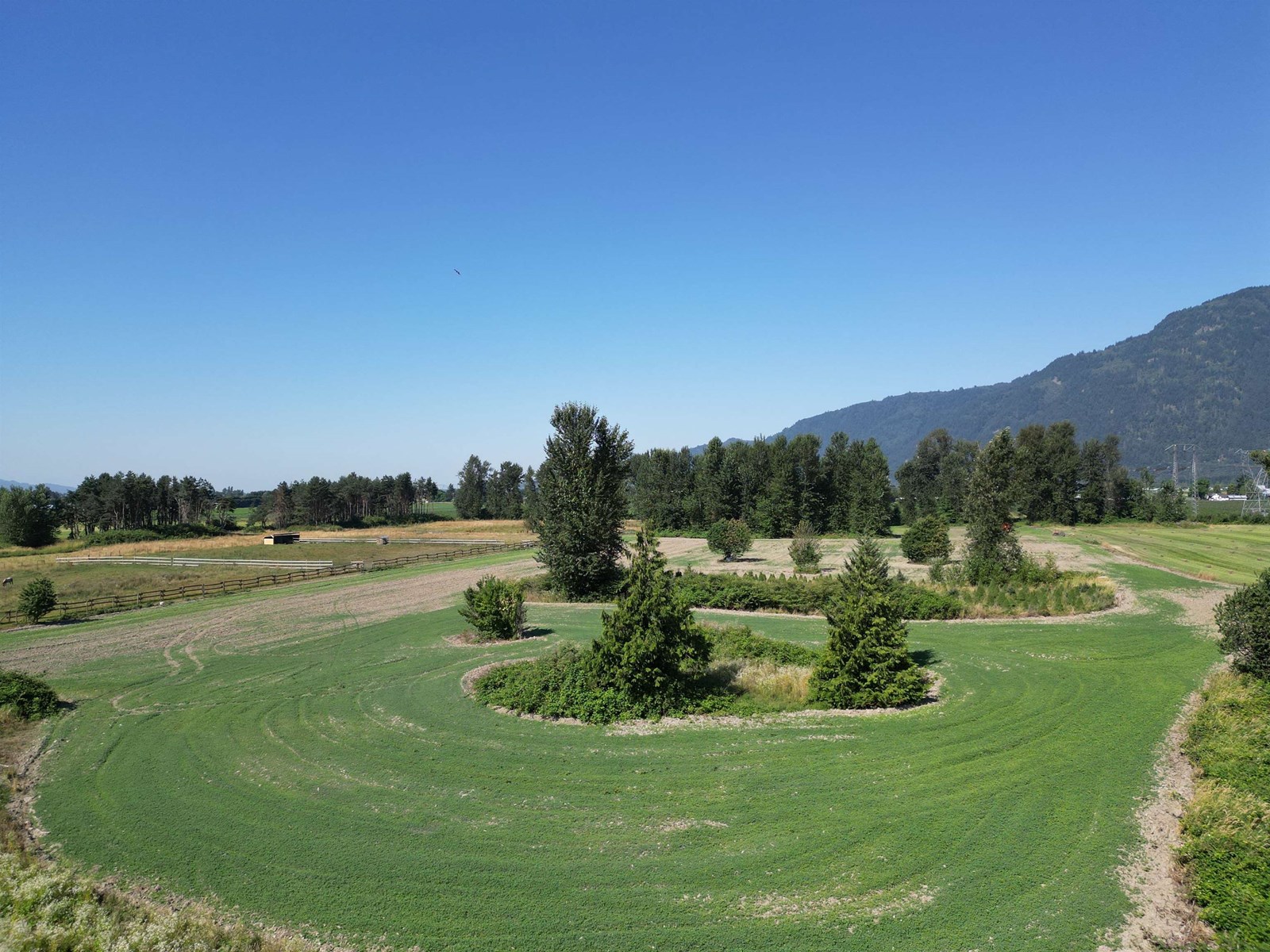 5097 BOUNDARY ROAD, Abbotsford