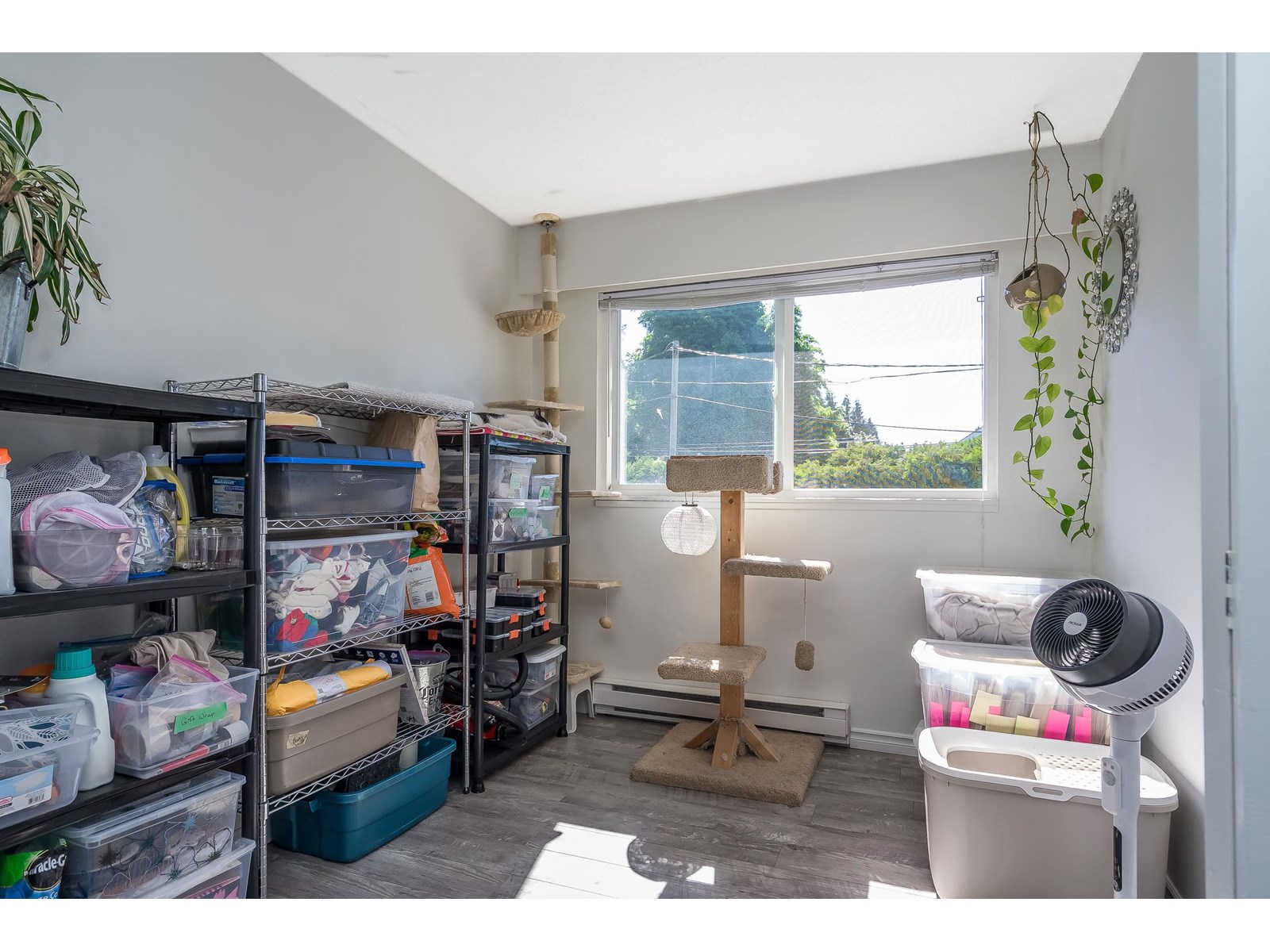 1 33900 MAYFAIR AVENUE, Abbotsford
