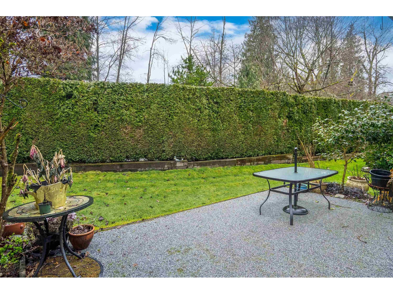 Photo 26 of 100 9025 216 Street, Langley BC